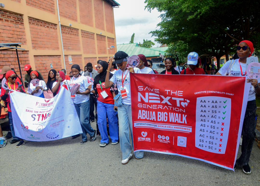 Abuja walk image 1