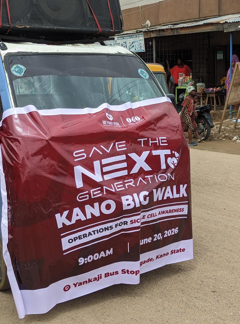 Kano State walk image 1